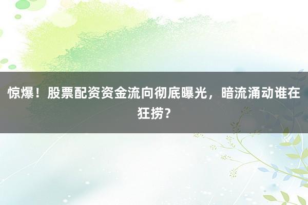 惊爆！股票配资资金流向彻底曝光，暗流涌动谁在狂捞？