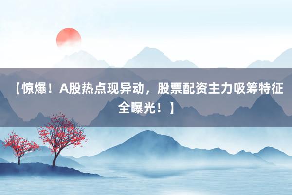 【惊爆！A股热点现异动，股票配资主力吸筹特征全曝光！】